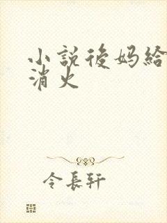 小说后妈给我消消火