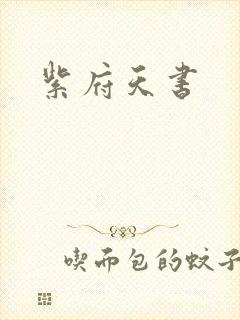 紫府天书