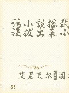 污小说总裁整夜没拔出来小说在线阅读