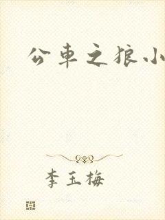 公车之狼小说