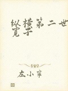 纵横第二世界 宽子