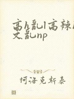 高h乱l高辣h文乱np
