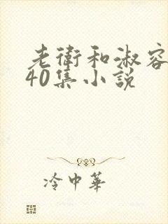 老卫和淑容1-40集小说