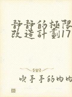 静静的极限自我改造计划17