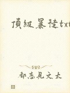 顶级暴徒txt