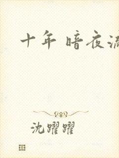 十年 暗夜流光