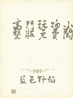 高门玩物小说完整版免费阅读