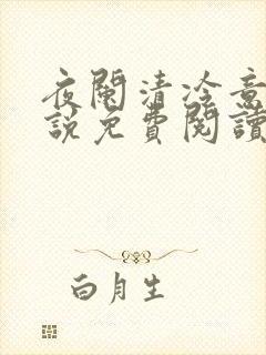 夜阑清冷意欢小说免费阅读
