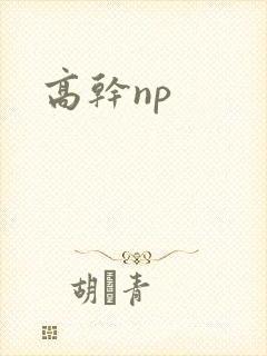 高干np