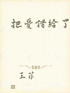 把爱错给了你
