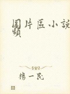 图片区小说区视频