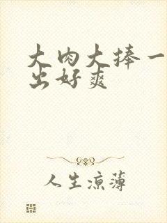 大肉大捧一进一出好爽