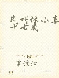 我叫林小喜今年十七岁