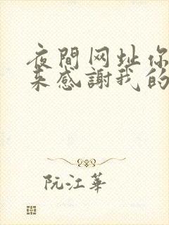 夜间网址你会回来感谢我的