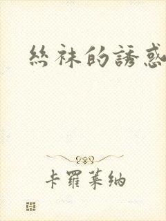 丝袜的诱惑小说