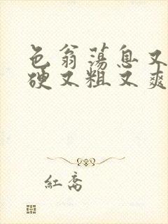 色翁荡息又大又硬又粗又爽电影