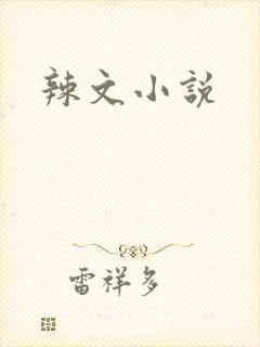 辣文小说