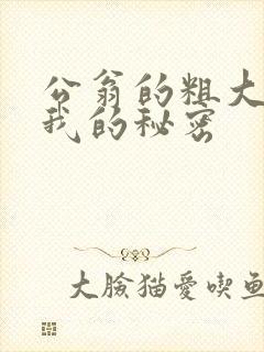 公翁的粗大放进我的秘密