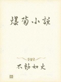 爆菊小说
