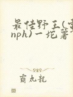 最佳野王(电竞nph)一坨薯饼