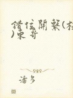 错位关系(校园)东哥