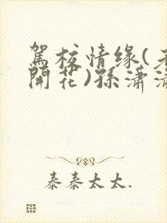 驾校情缘(老树开花)孙潇潇笔趣阁