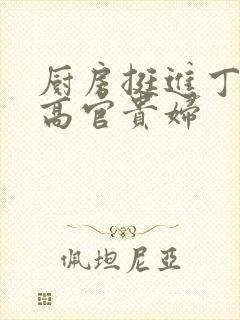 厨房挺进丁字裤高官贵妇