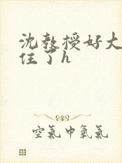 沈教授好大含不住了h