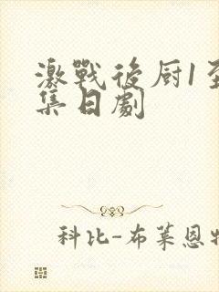 激战后厨1至5集日剧