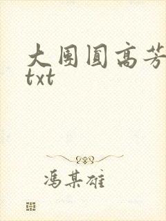 大团圆高芳小说txt