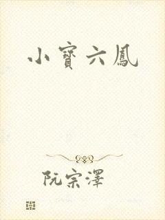 小宝六凤