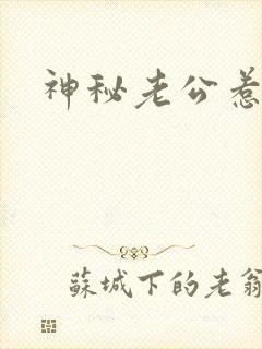 神秘老公惹不起