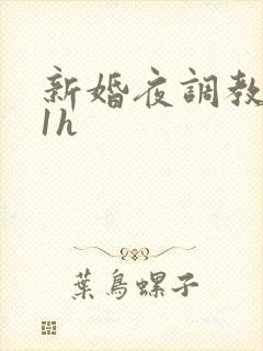 新婚夜调教1v1h