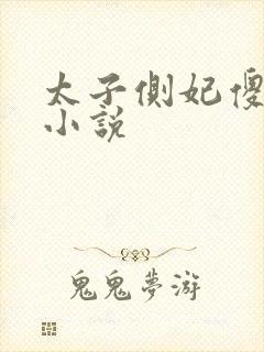 太子侧妃傻乎乎小说