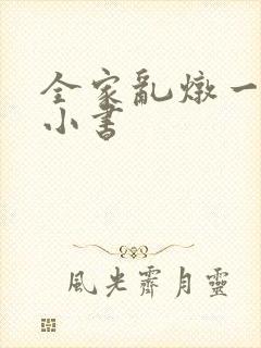 全家乱炖一锅烩小书