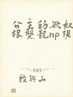 公主的欲奴h四根双龙np视频