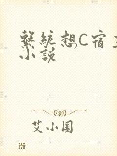 系统想C宿主的小说