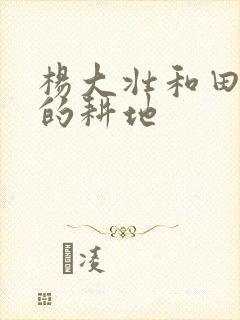 杨大壮和田桂花的耕地