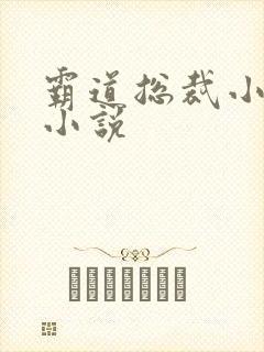 霸道总裁小娇妻小说