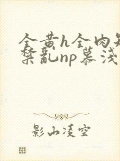 全黄h全肉短篇禁乱np慕浅浅