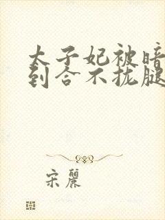 太子妃被暗卫C到合不拢腿