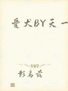 爱犬BY天一