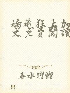 娇藏狂上加狂全文免费阅读笔趣阁