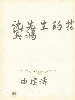 沈先生的花式调冥鸿