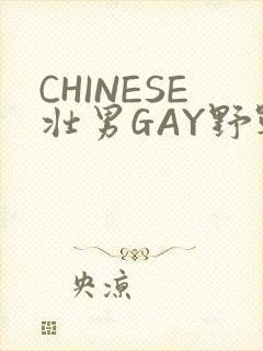 CHINESE壮男GAY野战强迫TUBE