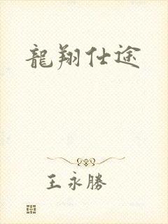 龙翔仕途
