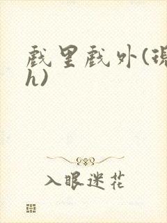 戏里戏外(现场h)