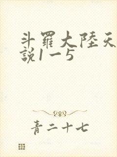 斗罗大陆天狂传说1一5