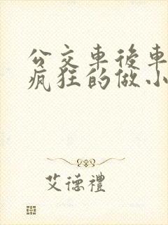 公交车后车座的疯狂的做小