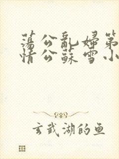 荡公乱妇第1章情公苏雪小说